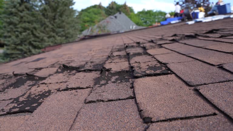 Best Roof Leak Repair  in New Deal, TX