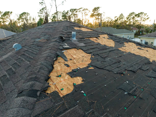 Reliable New Deal, TX Roofing Service Solutions