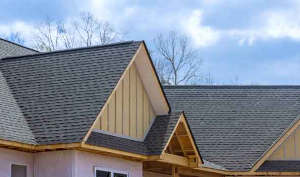 Best Roof Moss and Algae Removal  in New Deal, TX